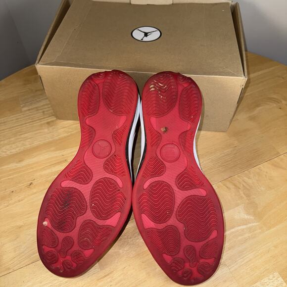 Nike Air Jordan 2010 25 XXV Welcome Home Size 12 387358-101 ALL OG